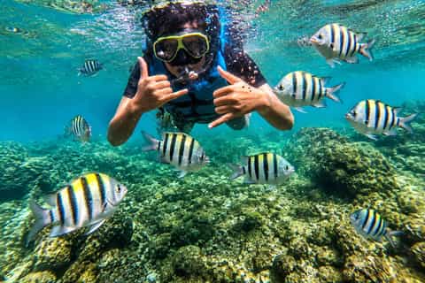 Yogyakarta: Nglambor Underwater Photo and Fresh Lobster - Image 3