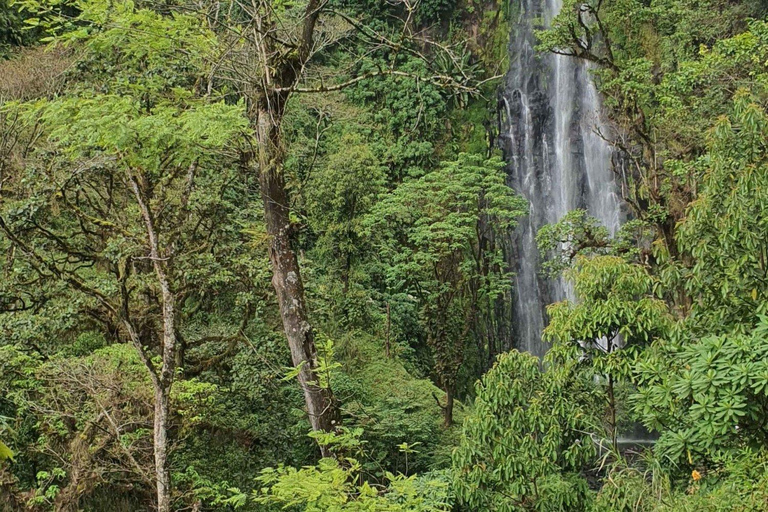 Materuni Waterfall Day Trip From Arusha/Moshi