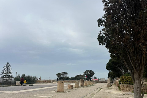 Tunis Express :Carthage, Sidi Bou Saïd & Médina with GENZ