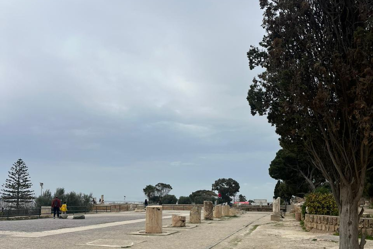 Tunis Express :Carthage, Sidi Bou Saïd & Médina with GENZ