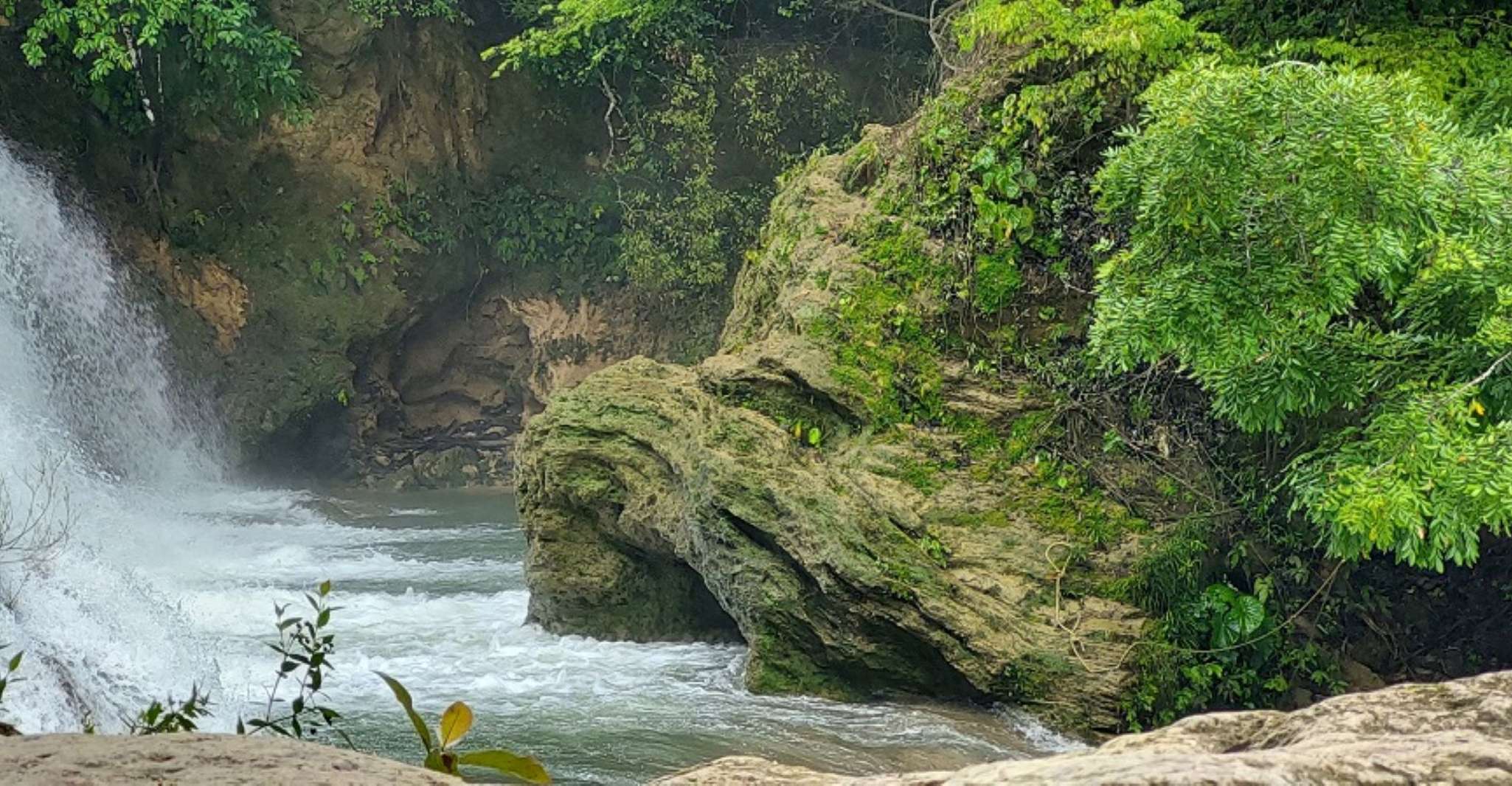 From Palenque,Wonders of the Roberto Barrios Waterfalls Tour - Housity