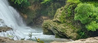 Van Palenque, wonderen van de Roberto Barrios Waterfalls Tour - Housity