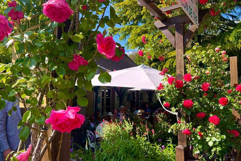 Private Tour Paris: Étretat Cliffs & Monet’s Gardens + Gift Premium Minivan (Up to 6 Guests)