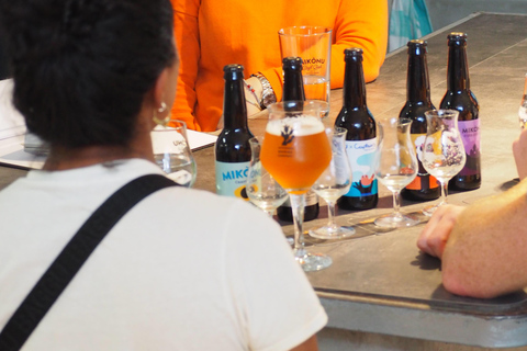 Tour della cantina e degustazione di birra presso la Mykonos Brewing Company