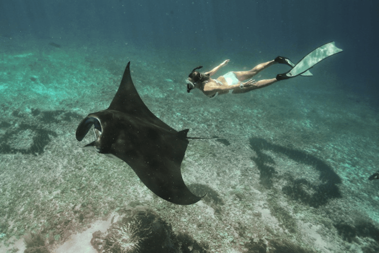 Komodo Island: Private 4–Day Trip with Phinisi Boat & Hotel