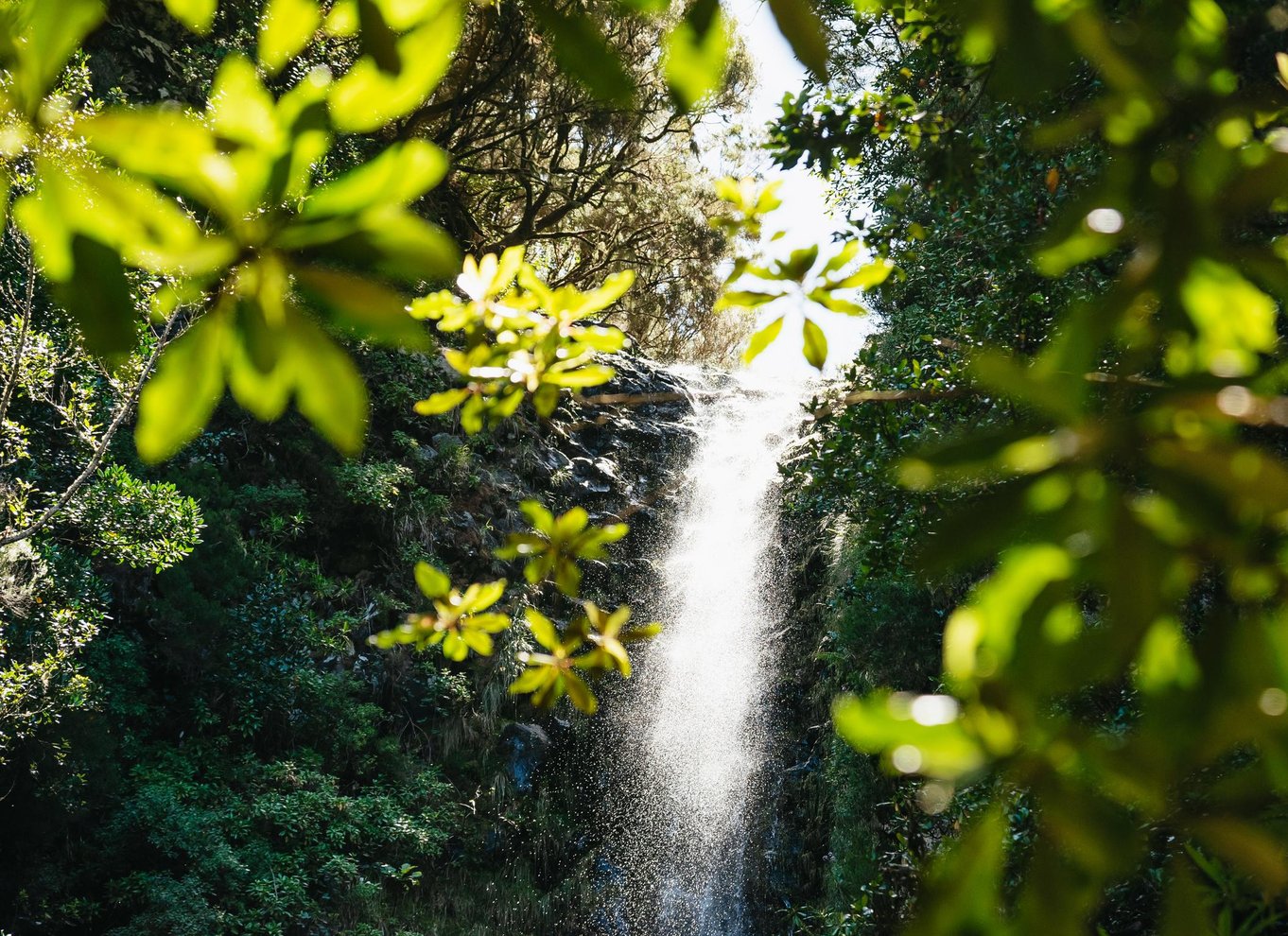 Madeira: Nyd en guidet gåtur i Levada i Rabaçal-dalen