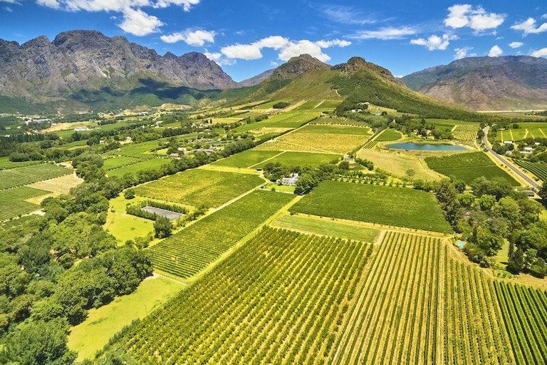 From Cape Town: Stellenbosch Wine Estates Tour with Tastings