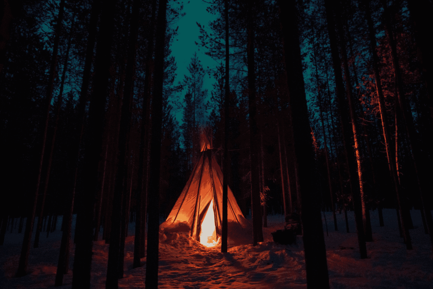 Lapland: Aurora Hunting by Minivan with Guide and Transport