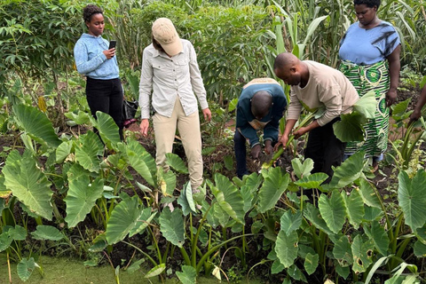 Kigali: Traditional Banana Beer Brewing Experience