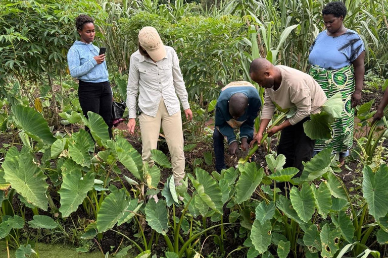 Kigali: Traditional Banana Beer Brewing Experience