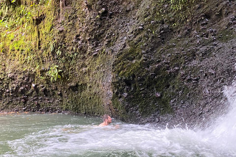 特特巴图：瀑布、香料、梯田、猴子森林特特巴图之旅、香料、瀑布、梯田、猴林