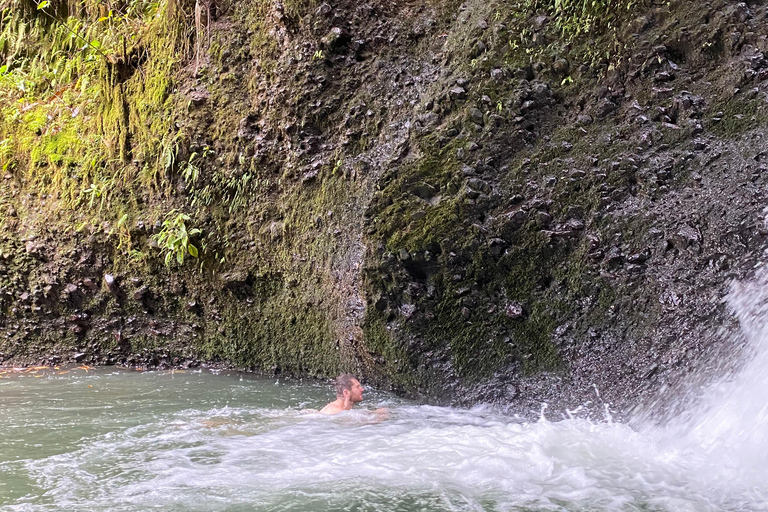 特特巴图：瀑布、香料、梯田、猴子森林特特巴图之旅、香料、瀑布、梯田、猴林