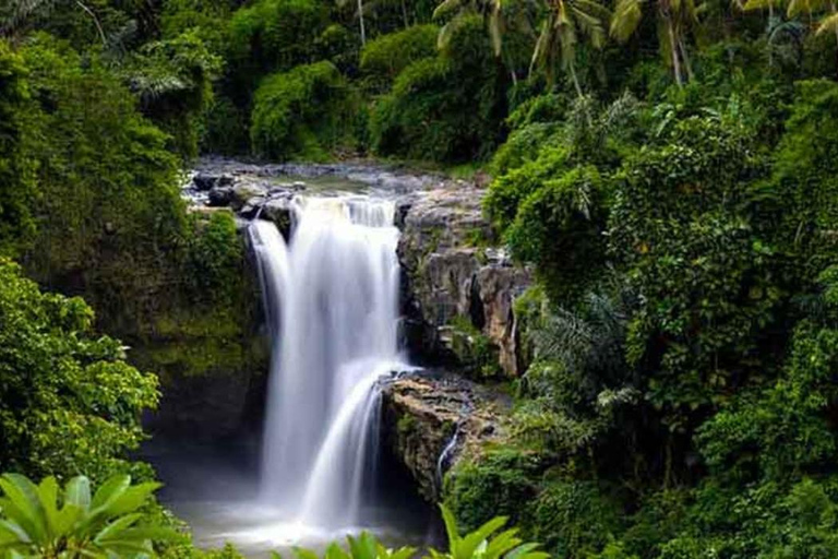 Ubud: Foresta delle scimmie, cascata di Tegenungan e terrazze di riso