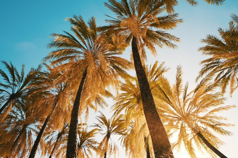 Anaheim: Hollywood Grand Tour z odbiorem z hotelu