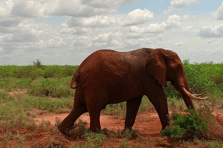 Overnight Group safari Tsavo East Safari from Mombasa/ Diani