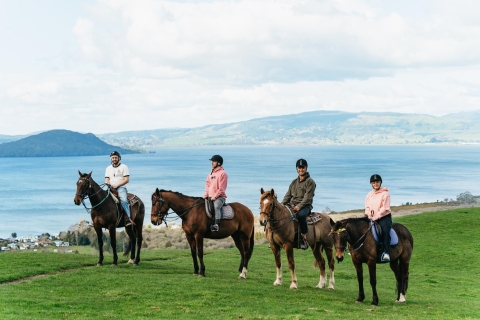 Rotorua: Geführtes Pferdetrekking-Erlebnis