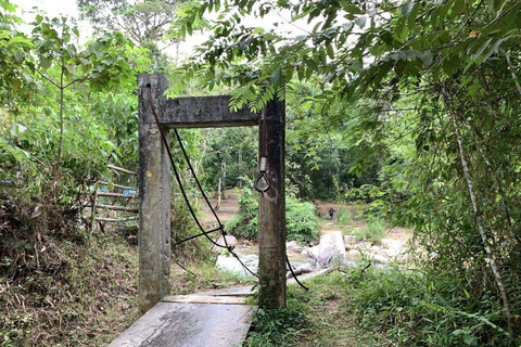 From Kuala Kubu Bharu: Bukit Kutu Guided Hike with Permit