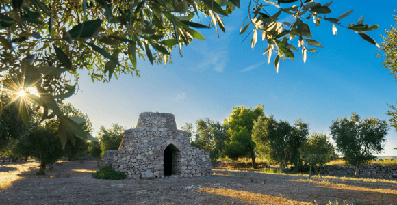 From Gallipoli or Lecce Province: Itria Valley Tour