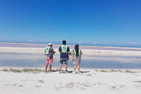 Río Lagartos: Flamingo Safari und Las Coloradas Tour