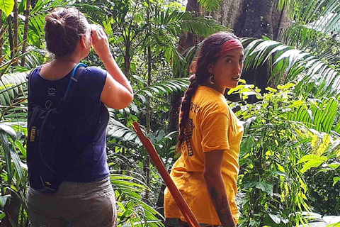 Panama City: Portobelo Jungle, Reef & Venas Azules Tour