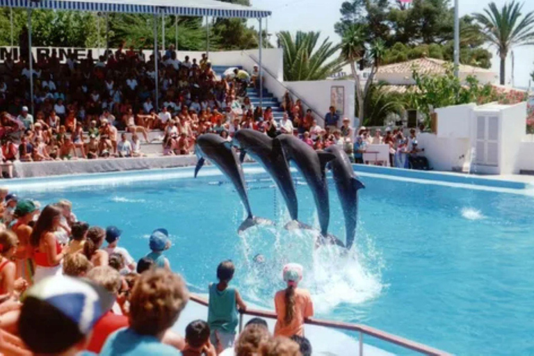 Visita ao espetáculo dos golfinhos com transporte de Alanya e SideVisita a um espetáculo de golfinhos com transfer de Alanya