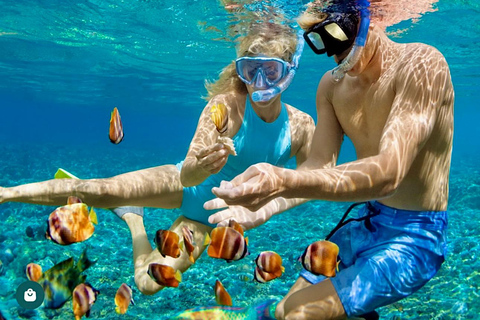 Montego Bay: Snorkeling Tour with Hip Strip Visit