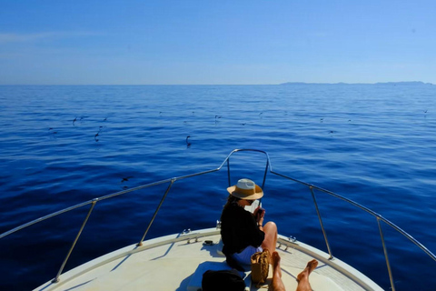 From S. Teresa Gallura: Speedboat Tour with Lunch between Lavezzi and Isola Piana