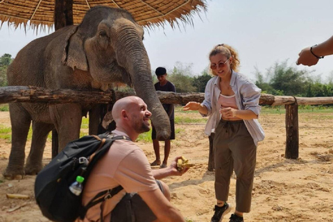 Rundtur i Kambodjas elefantreservat och Banteay Srey-templet