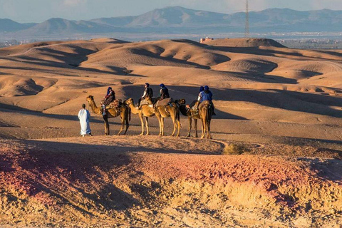 1h de passeio de quadriciclo pelo deserto com jantar e passeio de cameloMarrakech: Passeio de Quadriciclo pelo Deserto com Jantar Show e Passeio de Camelo