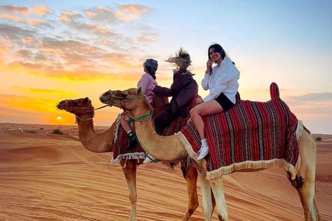 Qatar Desert Safari: Dunes, Camels Sandboarding & Inland Sea Shared Tour From Meeting Point