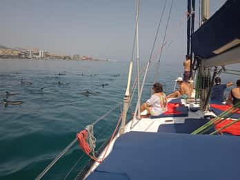 Fuengirola: Dolphin-Watching Sailing Tour with Drinks