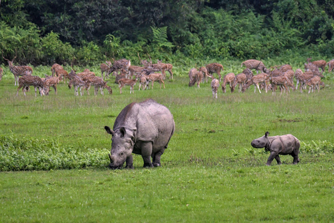 Chitwan National Park: Tower Night Stay from Kathmandu