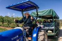 Fruit Picking & Nature Tour Yarra Valley & Warburton - Housity