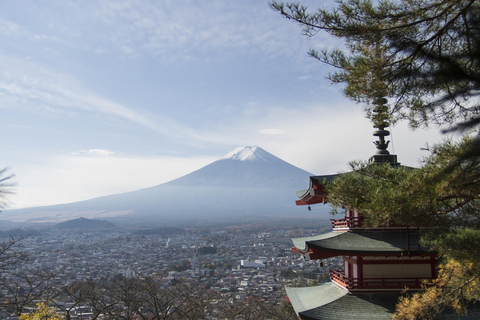 Tour privado personalizado en el Monte Fuji