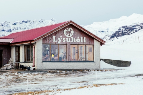 Desde Reikiavik: tour de 1 día a Snæfellsnes y comida casera