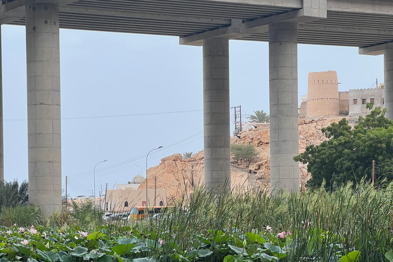 Muscat: Wadi Shab Hike and Bimmah Sinkhole Tour with Lunch Muscat: Wadi Shab Hike and Bimmah Sinkhole Tour with Lunch