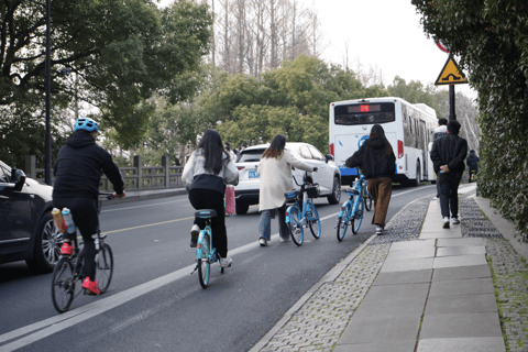 Hangzhou West Lake Bike Tour: Temple, Tea Field, Sunset Ride