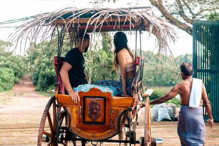 Sri Lanka: 8-Day Women's Serene Cultural & Coastal Escape