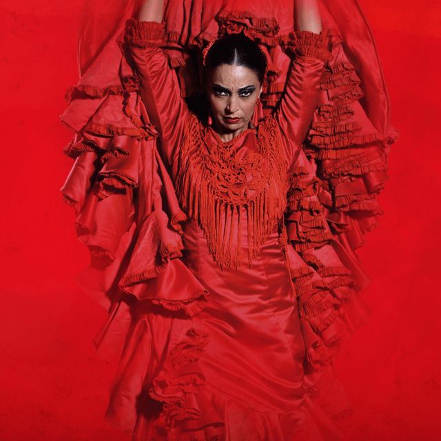 The Premium Experience at Teatro Flamenco Sevilla in Seville