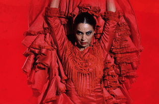 Das Premium-Erlebnis im Teatro Flamenco Granada
