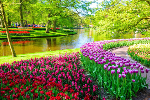 From Amsterdam: Keukenhof Gardens and Delft City Day Tour Private Tour 1 - 7 Persons