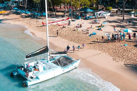 Waikiki : Excursion de plongée avec masque et tuba pour les tortues de mer