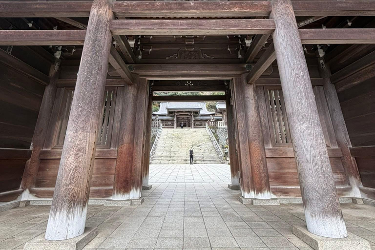 Tokyo: 5-Day Private Tour to Hiroshima with Transport