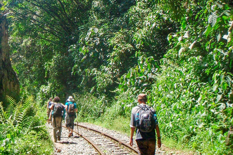 Cusco: Avventura nella giungla Inca: 4 giorni e 3 nottiAvventura regolare nella giungla Inca: 4 giorni e 3 notti