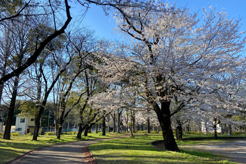 Tóquio: Explora a vida autêntica de um bairro residencial