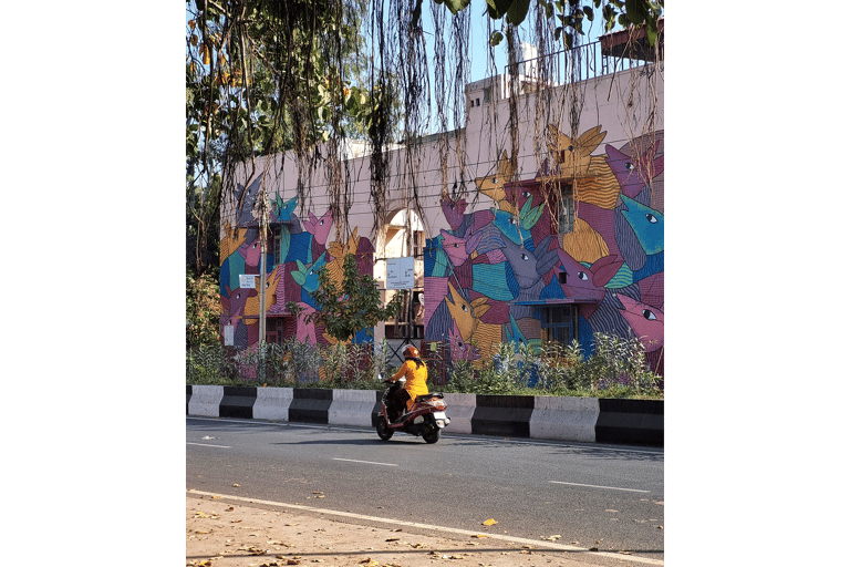 Delhi: arte callejero, antiguo Stepwell y almuerzo del sur de la India