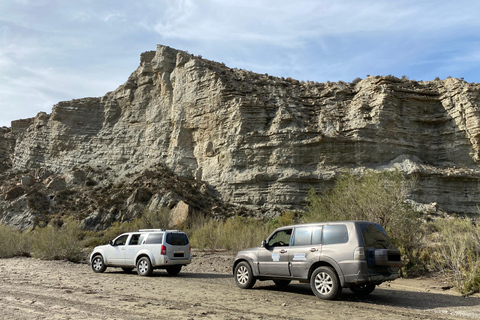 Desde Almería ou Tabernas: Descobre o deserto em 4x4De Tabernas