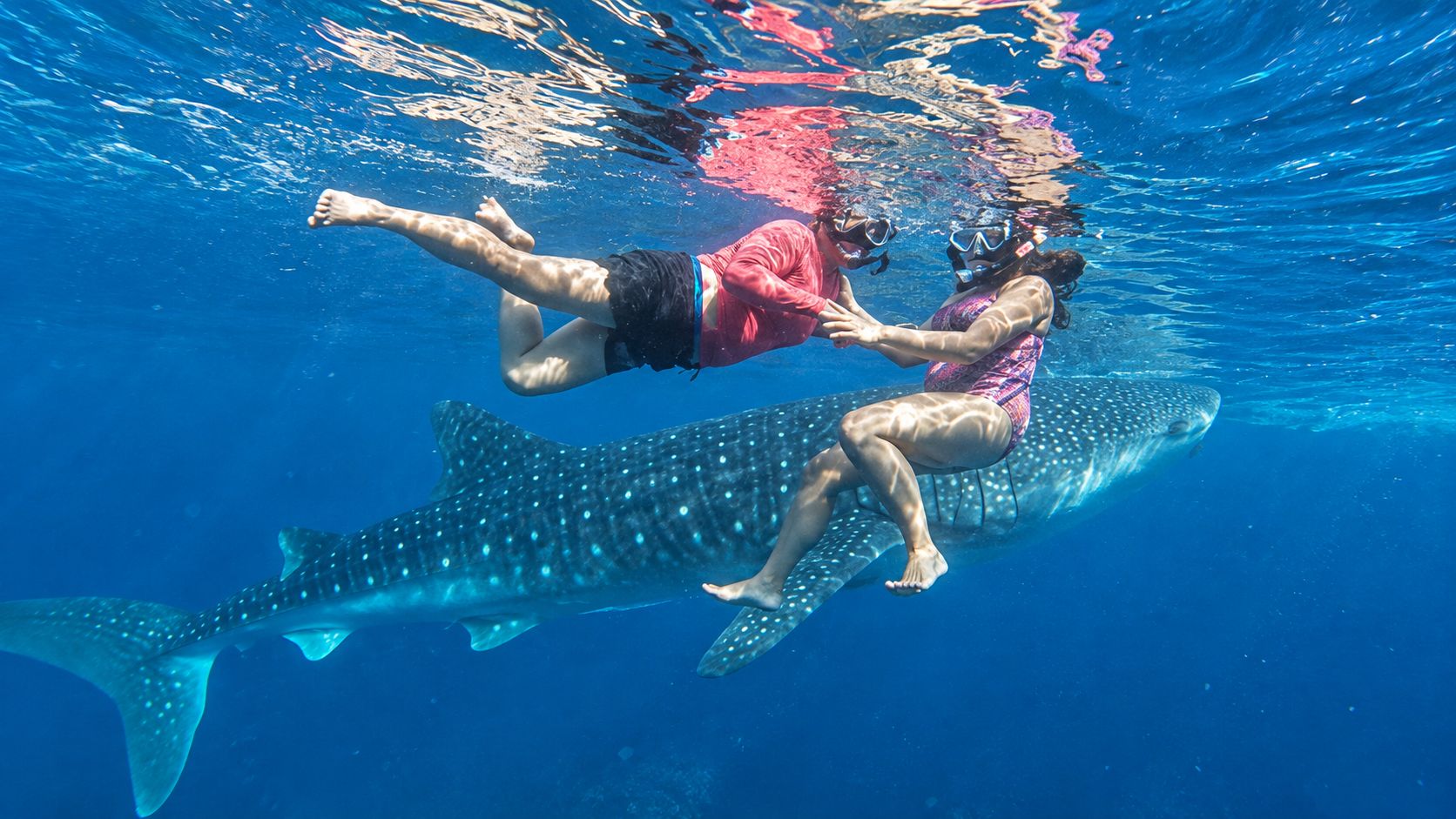 Cebu: Schwimmen mit Walhaien & Canyoning bei den Kawasan-Wasserfällen