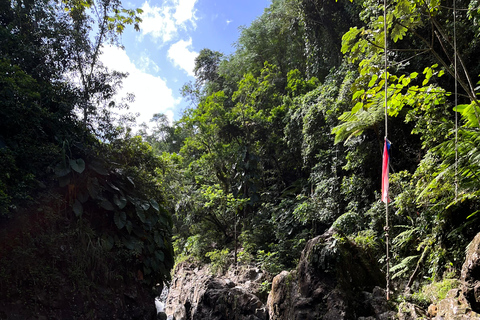 Excursion à El Yunque, rivière et toboggans aquatiques