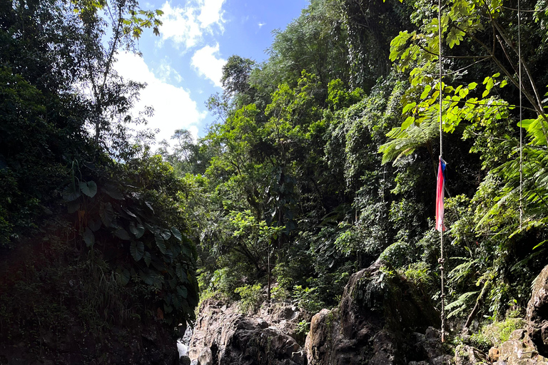 Excursion à El Yunque, rivière et toboggans aquatiques